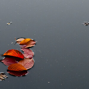 Test 04