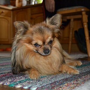 DSC 0155ed
