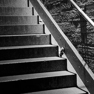Schatten scan024neu2 900