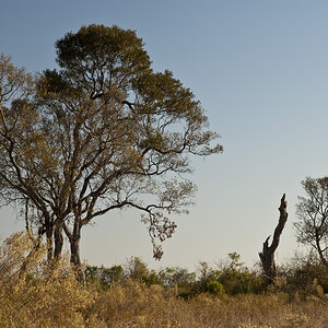 namibia 10