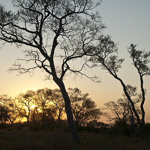 namibia 11
