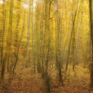 NF B 2011 10 30 09 22 38