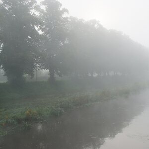 NF B 2010 09 05 07 41 33