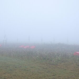 NF B 2010 11 21 10 46 46