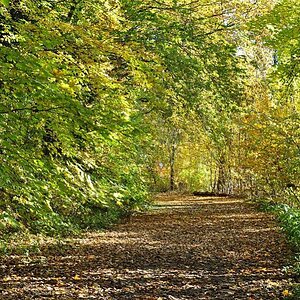 herbst1