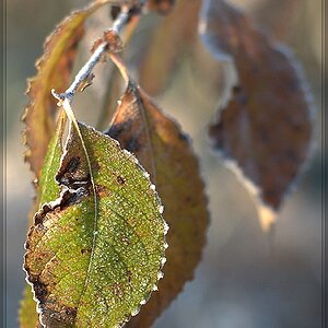 20111118 1017 2 comp