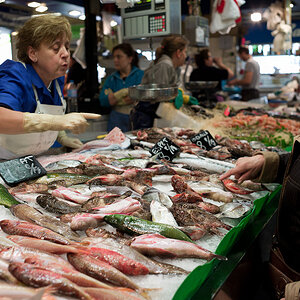 market 10