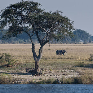 namibia 20