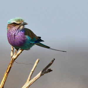 namibia 21