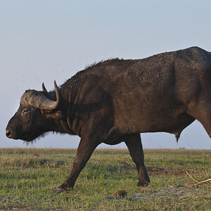 namibia 29