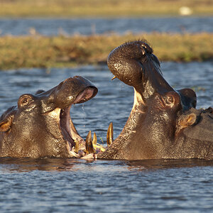 namibia 27