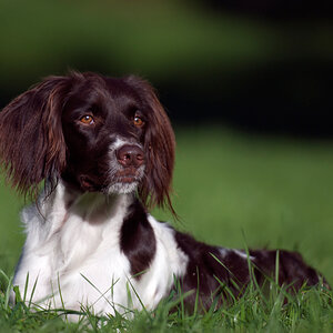 01102011Lilli229