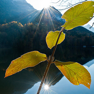Am Nussensee