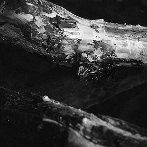 AstImSchlachtensee 0022 111013 SW 1024x685
