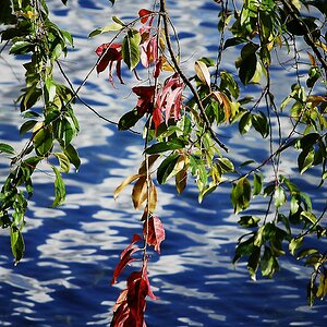 Herbst 0025 111013 685x1024 85