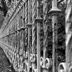DSC 7383 bearbeitet klein B&W