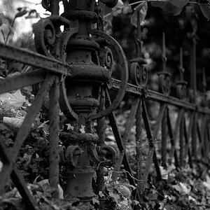 DSC 7395 bearbeitet klein B&W