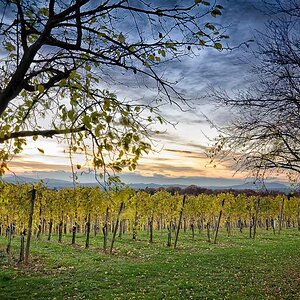 Sonnenuntergang Weingut Trummer