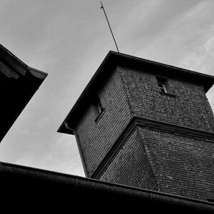 DSC 5564 web crop bw