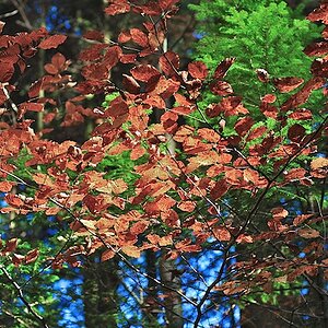 Herbst 2011