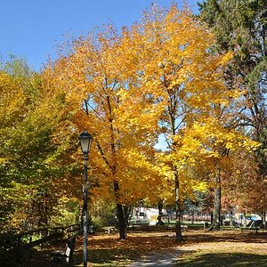 herbst05