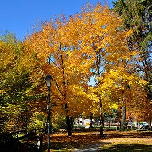 herbst06
