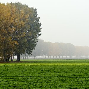 in der Poebene 4