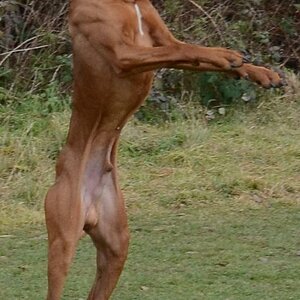 100%1