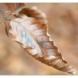 Blatt 2