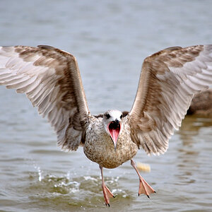 Usedom 0081 DSC 5413