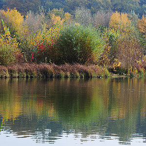 DSC 2476fsks