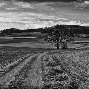 20111106 DSC 8973 Bearbeitet