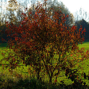 DSC03709
