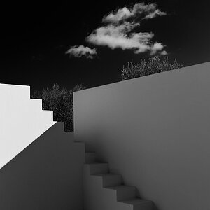 L1009878 sw