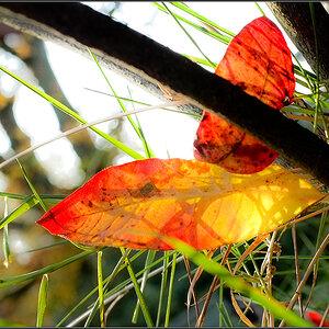 Licht u Schatten 2