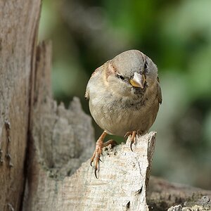 20111210 6438 [NIKON D5100] 170 mm,1 80 Sek. bei ƒ   5,6
