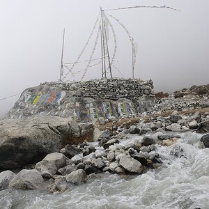 comp BSC 9567
