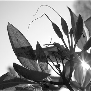 Licht u Schatten 7