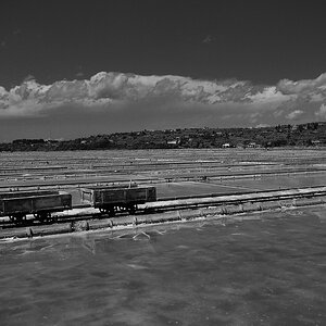 aacomp Piran Portoroz 2011  (114)sw