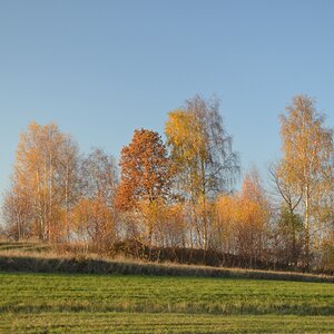 polfilter 01
