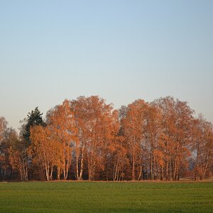 polfilter 02