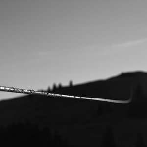 DSC 7376 2