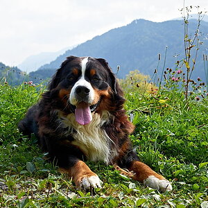 Für den Schnuffithread ..... ;)