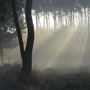 Nebel2