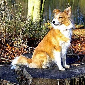 Merle Herbst01