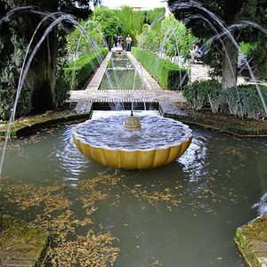 DSC6515
