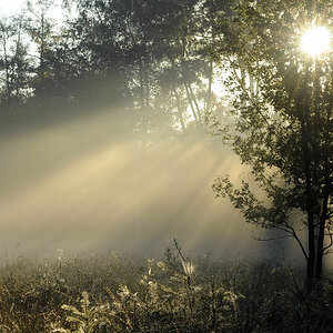 Nebel1
