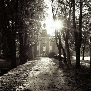 Schlossruine Hertefeld
