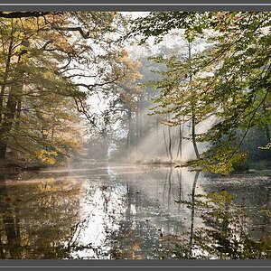 Herbstlicht
