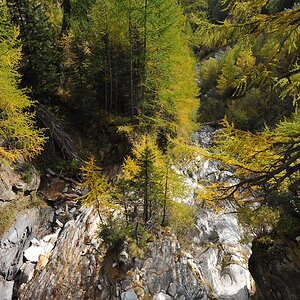 DSC 5967
